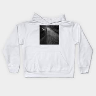 In the Park Kids Hoodie